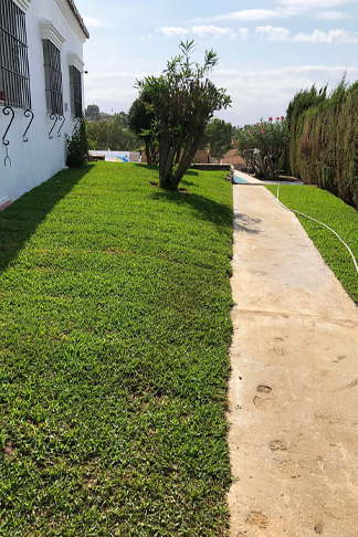 Diseño de jardines con piscina