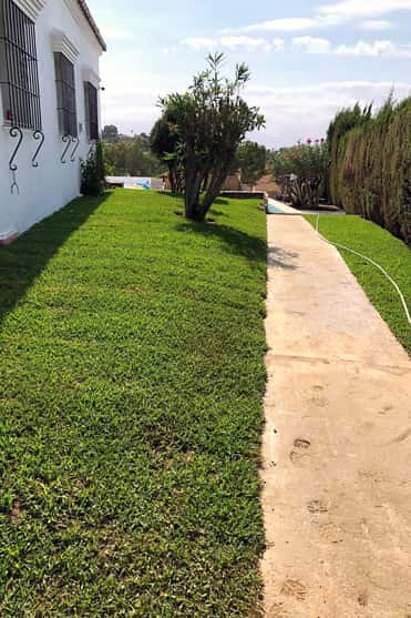 Diseño de jardín y reforma de baño en Granada